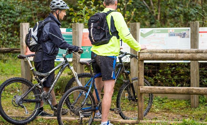 Mountain Biking at Cwmcarn Forest